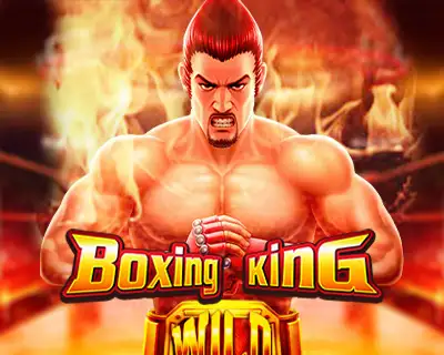 1xbet tips in hindi