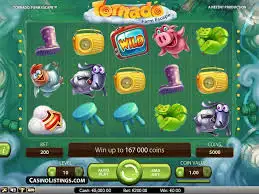 1xbet pour windows